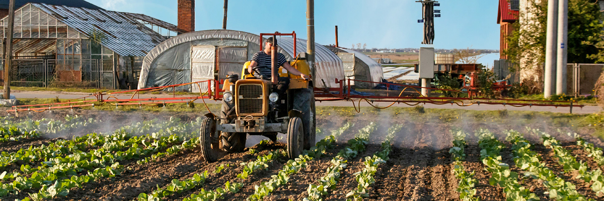 Projektfoto Entwicklung von Entscheidungshilfen für eine kosteneffiziente Bewässerung – Cost-Efficient Irrigation 1200x400