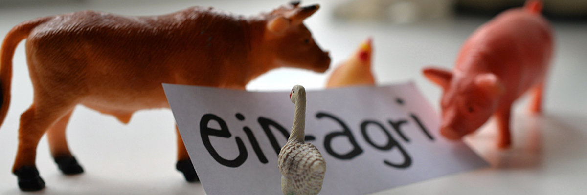 EIP-AGRI Fragen und Antworten Spielfiguren um Text EIP-AGRI
