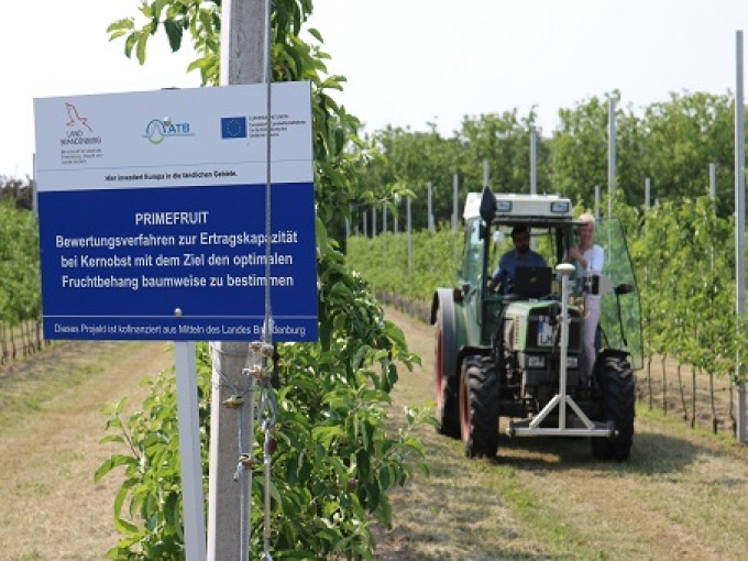 Projektschild der OG PRIMEFRUIT